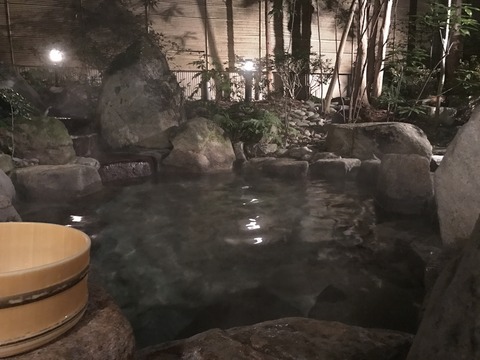 フモフモさん　お散歩ブログ　下呂温泉