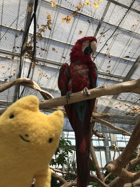 フモフモさん お散歩ブログ 神戸巡り