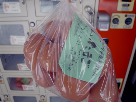 フモフモさん　お散歩ブログ　家族旅行