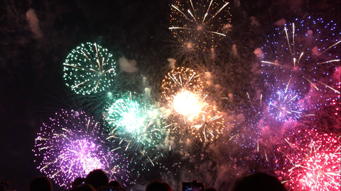 フモフモさん　お散歩ブログ　びわ湖大花火大会　2017