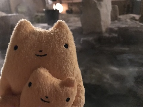 フモフモさん　お散歩ブログ　下呂温泉