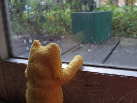 フモフモさん　お散歩ブログ　靭公園