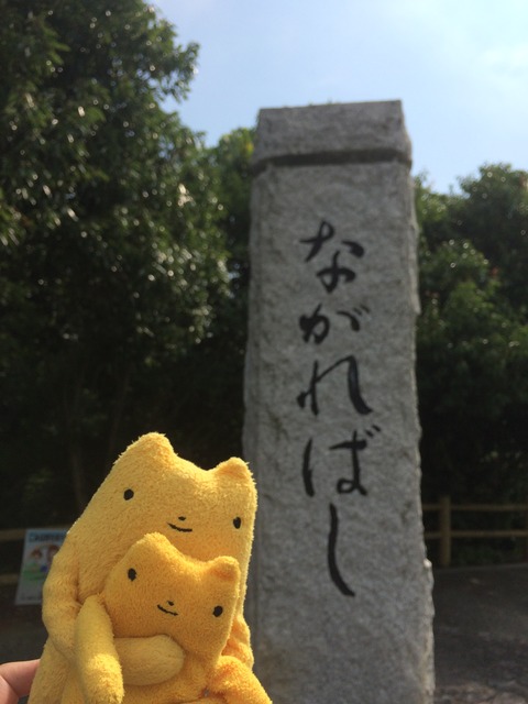 フモフモさん　お散歩ブログ　サイクリング　流れ橋