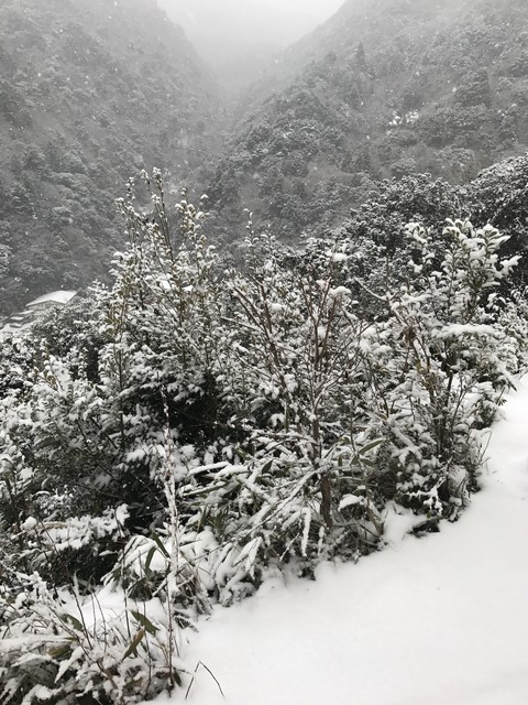 フモフモさん　お散歩ブログ　家族旅行