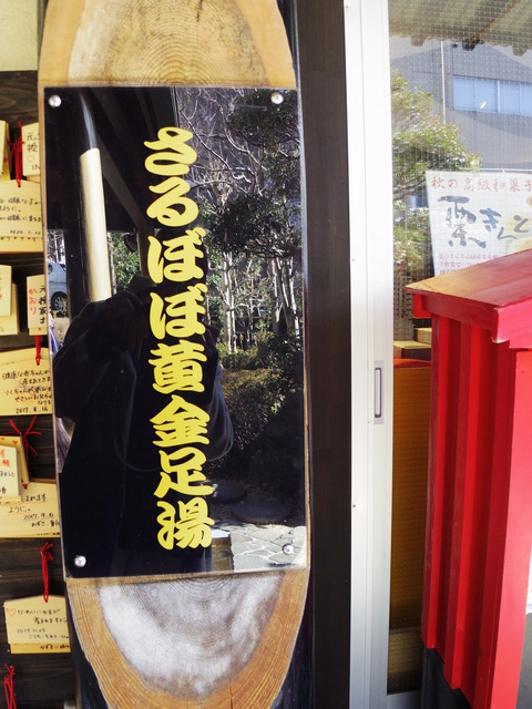 フモフモさん お散歩ブログ 下呂温泉