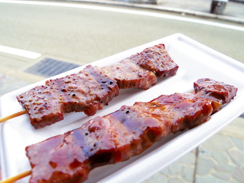 フモフモさん　お散歩ブログ　下呂温泉