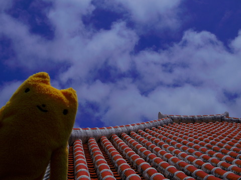 フモフモさん お散歩ブログ 壺屋やちむん通り