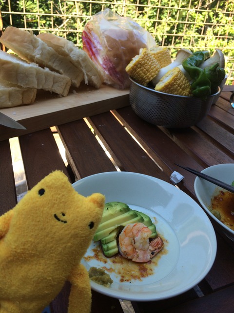 フモフモさん　お散歩ブログ　ＢＢＱ　バーベキュー