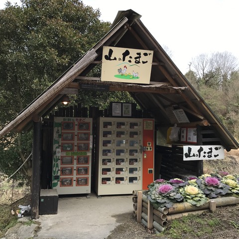フモフモさん　お散歩ブログ　家族旅行