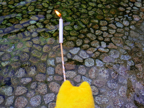フモフモさん　お散歩ブログ　下鴨神社　世界遺産　みたらし祭