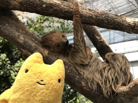 フモフモさん お散歩ブログ 神戸巡り