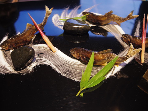 フモフモさん お散歩ブログ びわこ緑水亭 温泉