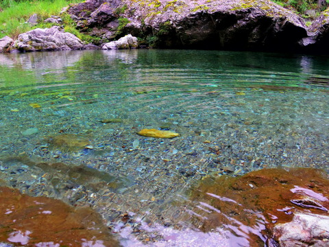 フモフモさん お散歩ブログ 奈良県天川村 キャンプ