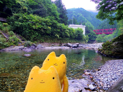 フモフモさん お散歩ブログ 奈良県天川村 キャンプ
