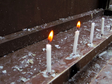 フモフモさん　お散歩ブログ　下鴨神社　世界遺産　みたらし祭