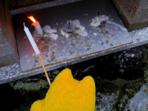 フモフモさん　お散歩ブログ　下鴨神社　世界遺産　みたらし祭