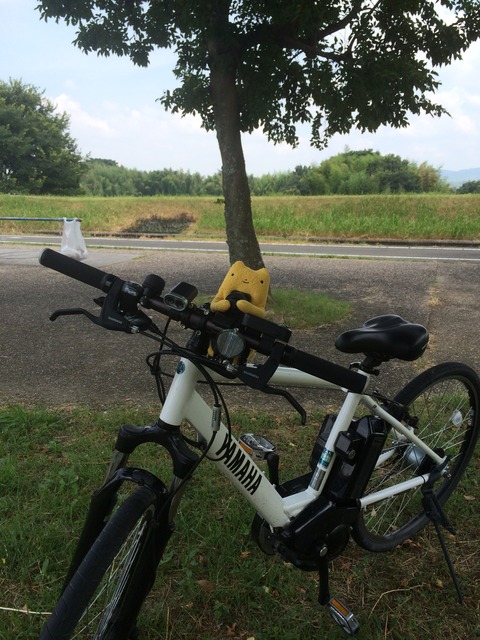フモフモさん　お散歩ブログ　サイクリング　流れ橋