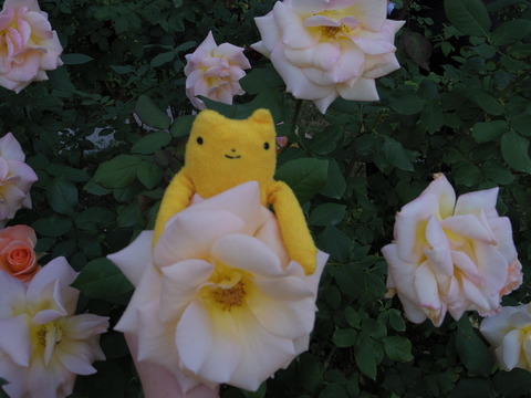 フモフモさん　お散歩ブログ　靭公園