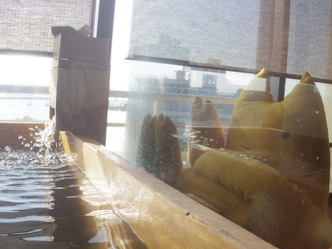 フモフモさん　お散歩ブログ　びわこ緑水亭　温泉