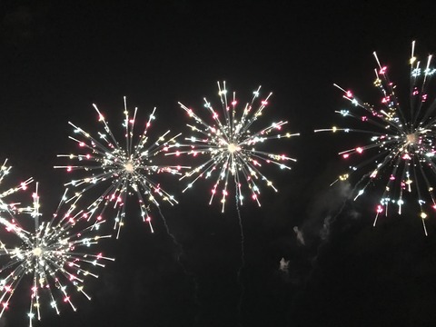 フモフモさん　お散歩ブログ　びわ湖大花火大会　2017