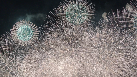 フモフモさん　お散歩ブログ　びわ湖大花火大会　2017