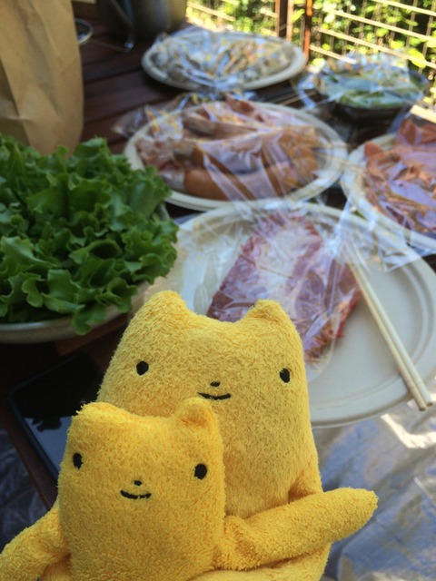 フモフモさん　お散歩ブログ　ＢＢＱ　バーベキュー