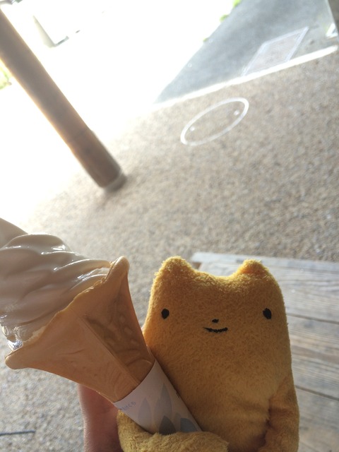 フモフモさん　お散歩ブログ　サイクリング　流れ橋