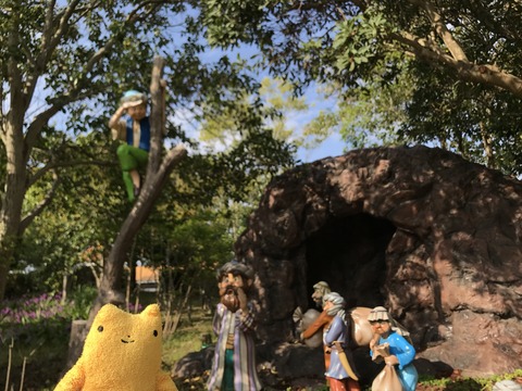 フモフモさん　お散歩ブログ　淡路ワールドパークＯＮＯＫＯＲＯ