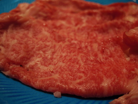 フモフモさん お散歩ブログ びわこ緑水亭 温泉