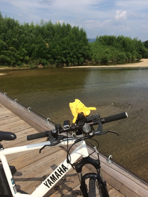 フモフモさん　お散歩ブログ　サイクリング　流れ橋
