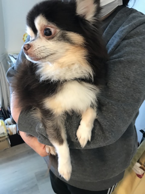 7AD424D6-D449-4C87-8B27-B3C3EC8357BE