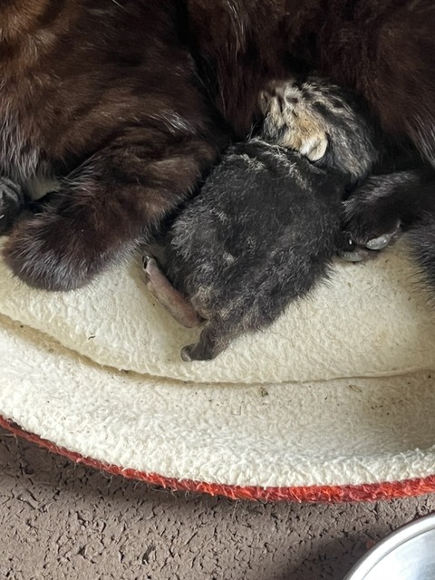 3A9A2E13-107B-4CA2-9445-E5EED1AD1EA7