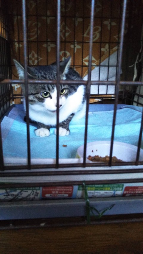 B00C2C29-5BBA-4CFF-A1CB-011F773B34D7