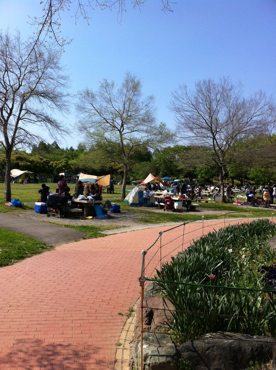 アウトドア編 三郷公園 目指せ 塾なし東大 アウトドア編 三郷公園 目指せ 塾なし東大