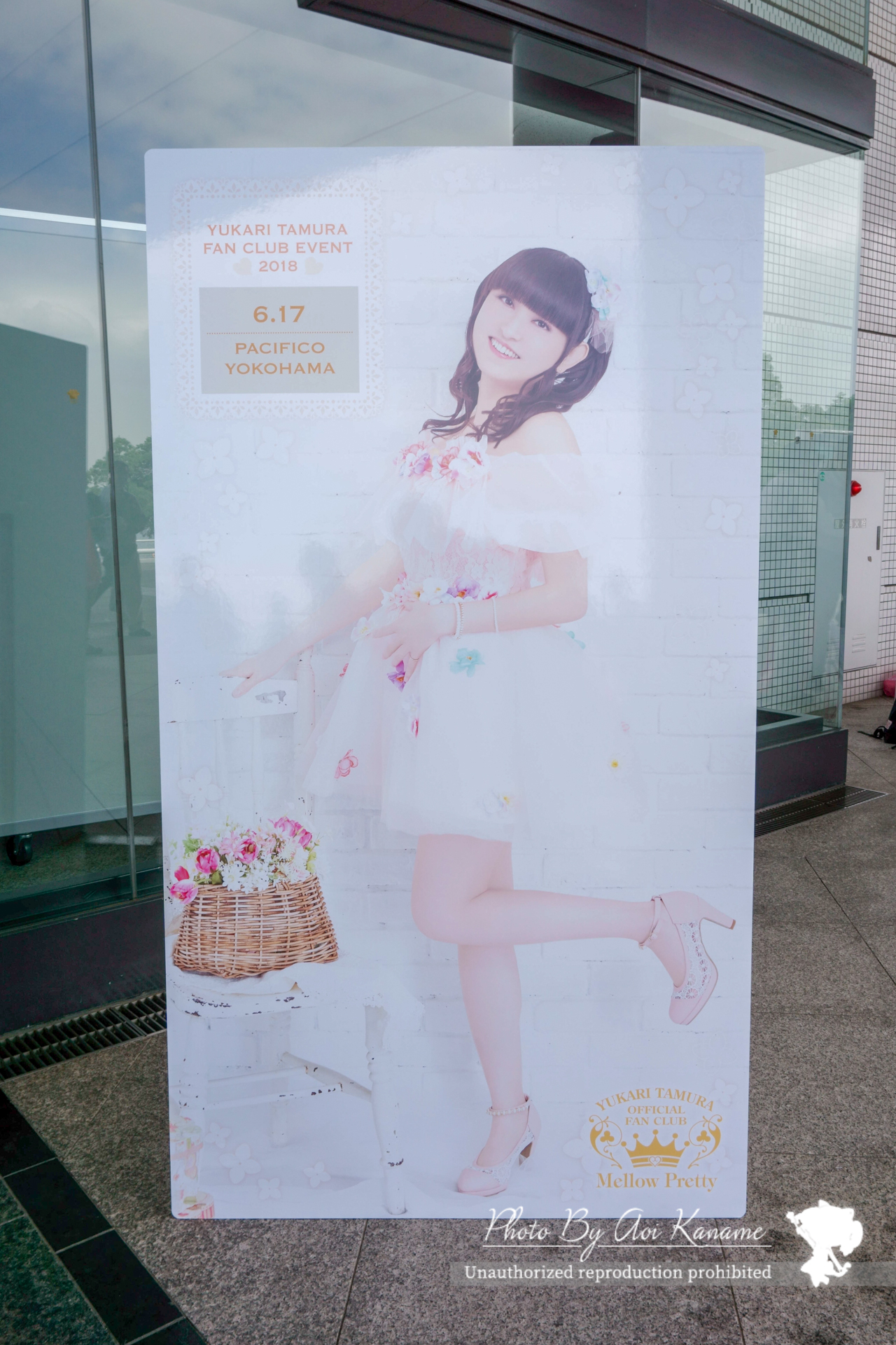 DSC02667