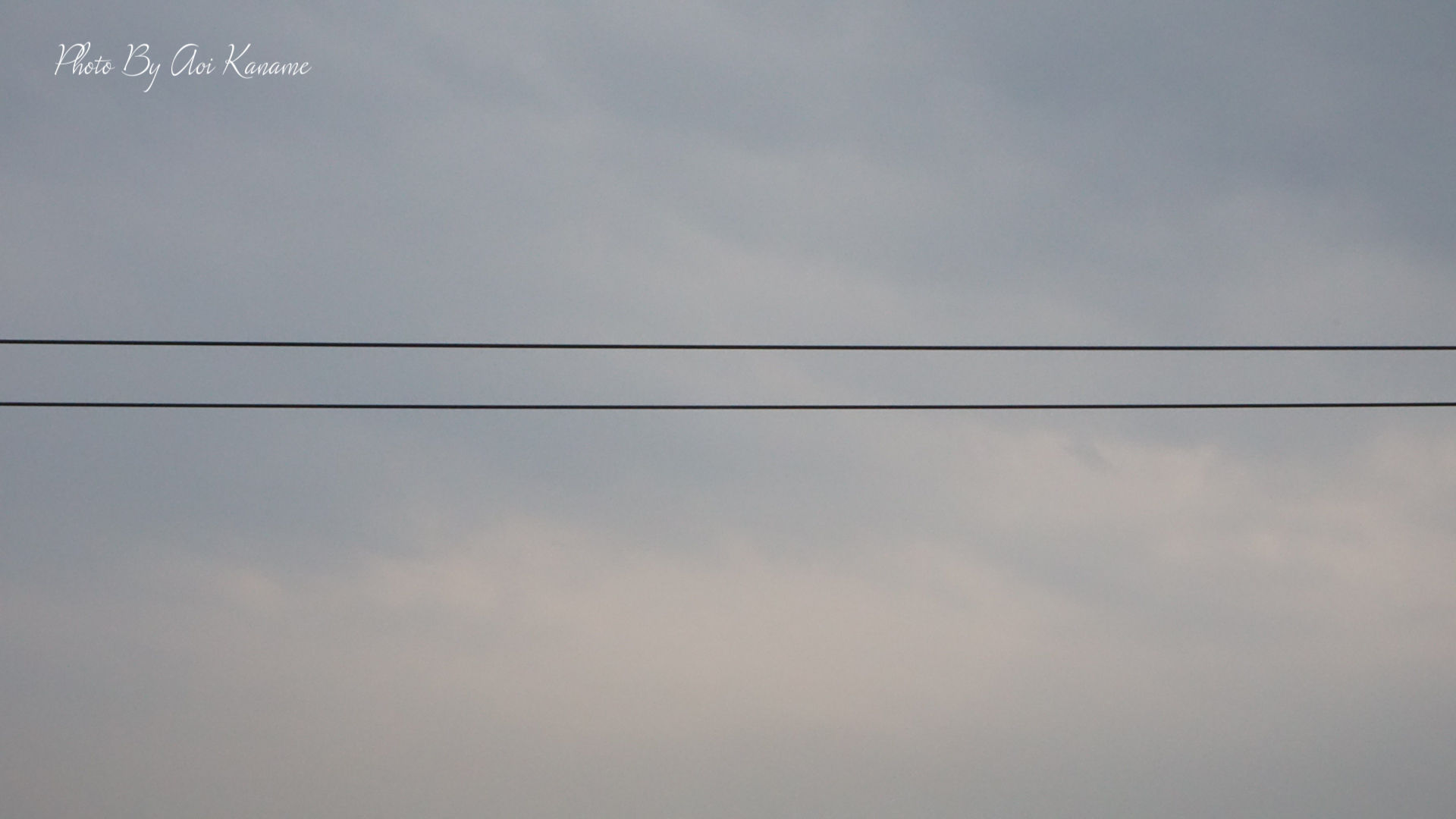 DSC08700