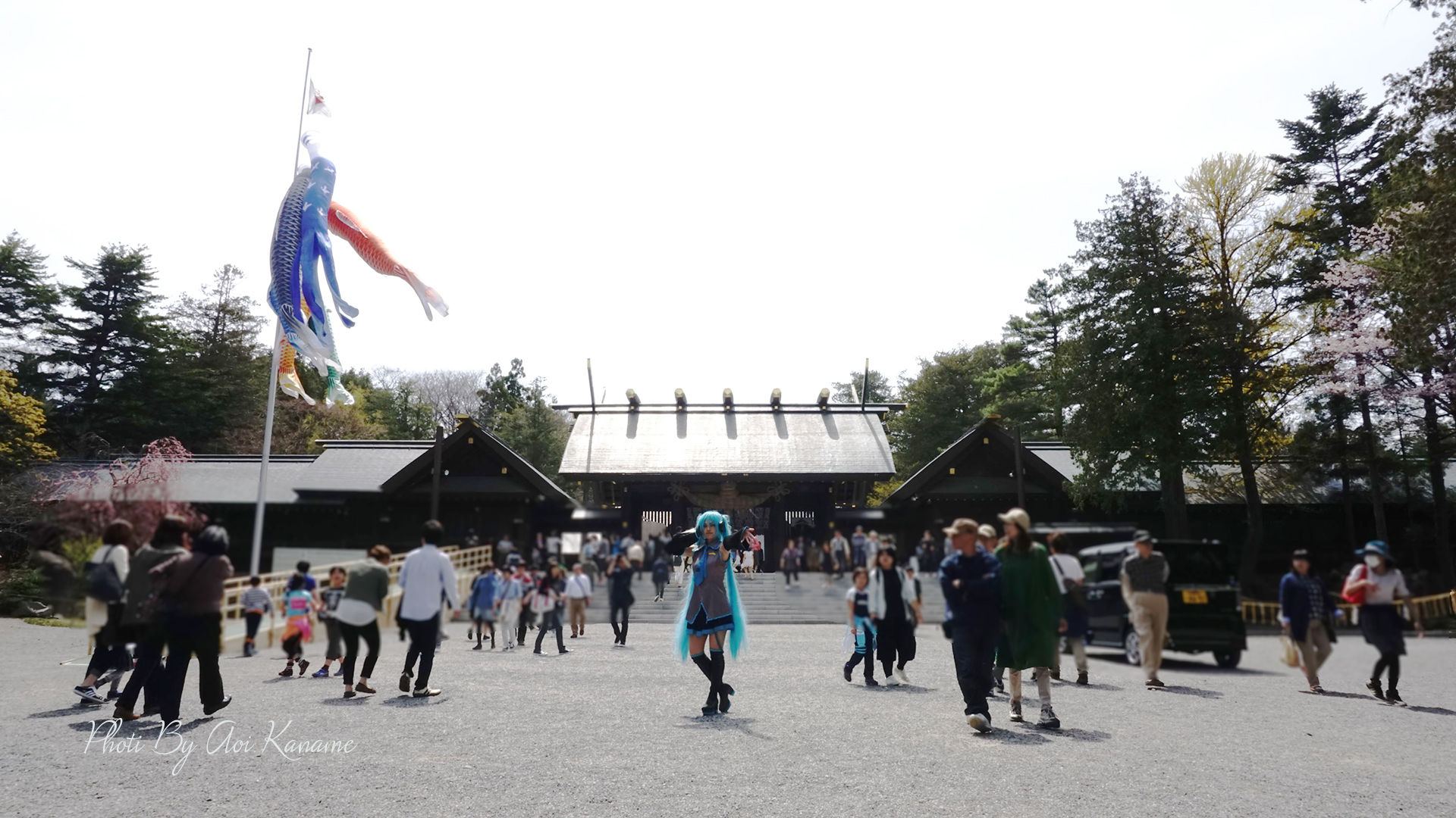 DSC04095 (1)