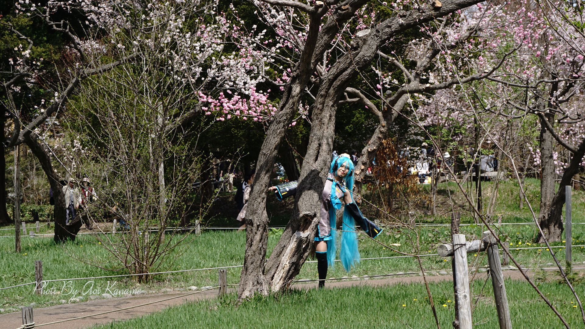 DSC04023