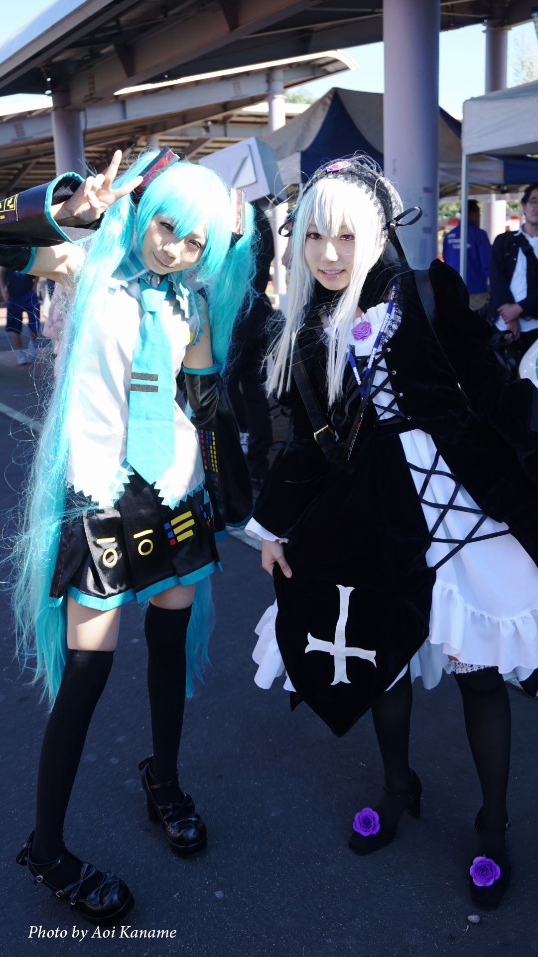 DSC01010-(1)