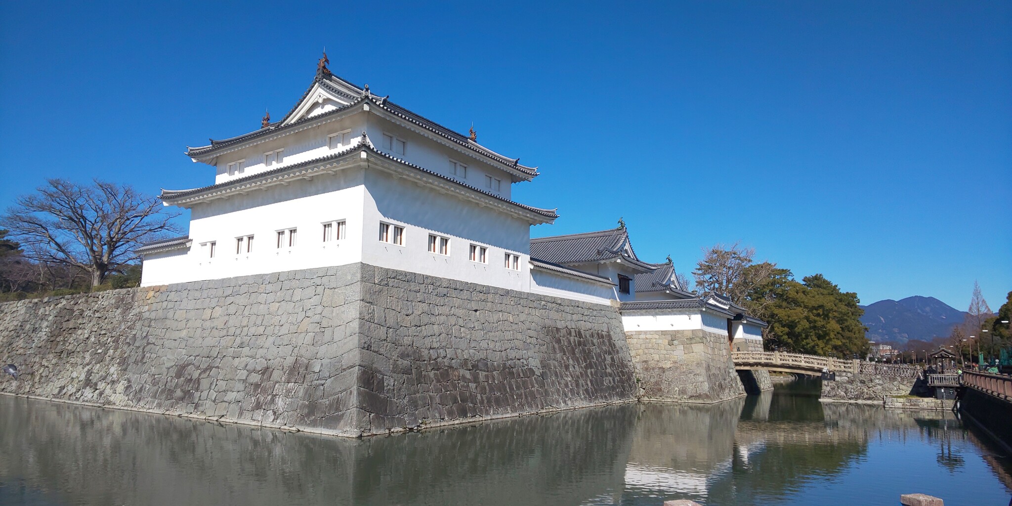 駿府城公園 河津桜 開花 日本歴史紀行 駿府城公園 河津桜 開花 日本歴史紀行