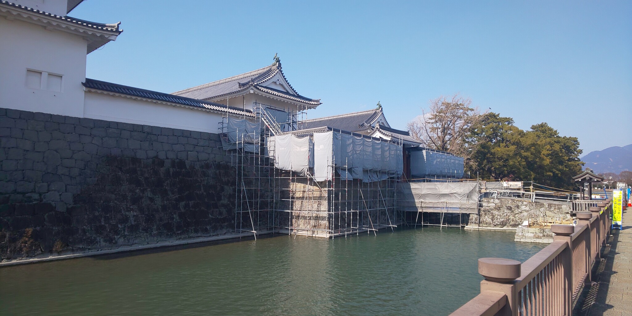 駿府城公園 早咲き河津桜が開花 日本歴史紀行 駿府城公園 早咲き河津桜が開花 日本歴史紀行