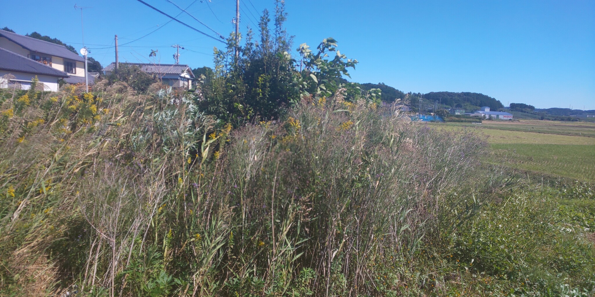 歴史紀行 地域版 48 熊谷直実 袈裟掛けの松跡 片葉の葦 碑 静岡県菊川市 日本歴史紀行