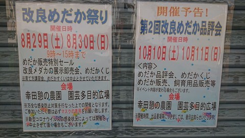 幸田憩の農園でのイベントについて 岡崎葵メダカのつぶやき