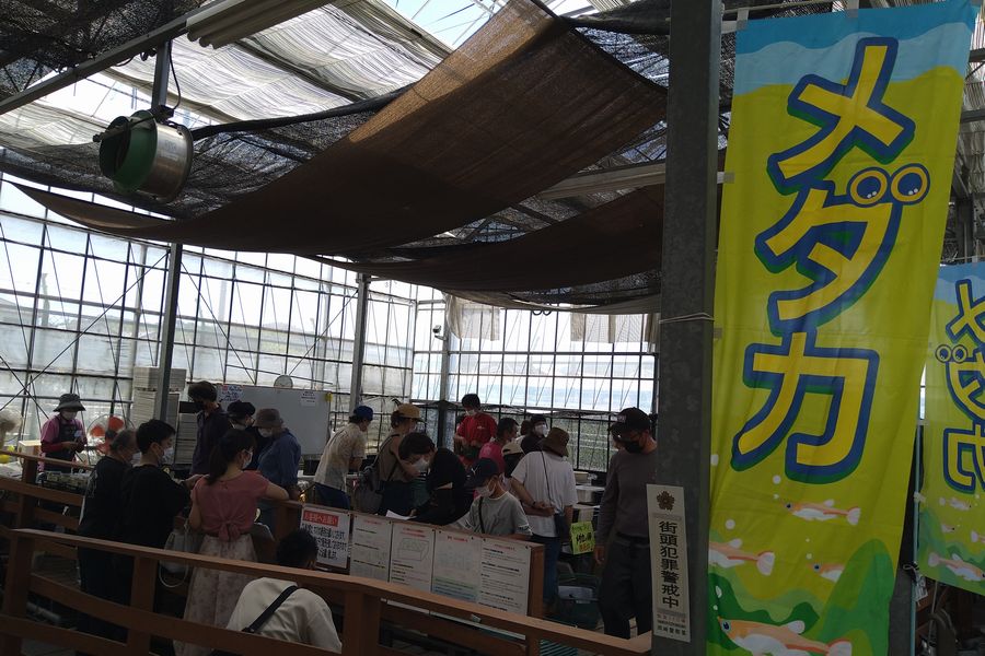 メダカ祭初日終了 明日も9 15時開催です 岡崎葵メダカのつぶやき