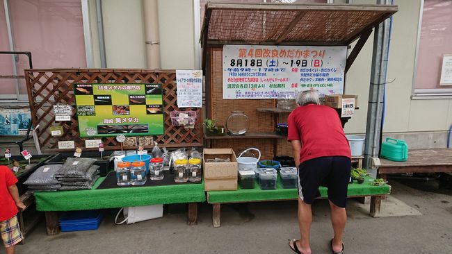 幸田憩の農園での今年最後のメダカイベント 岡崎葵メダカのつぶやき
