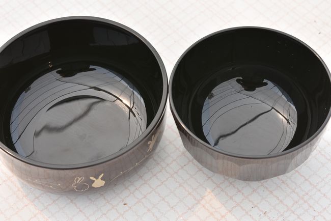 メダカ撮影容器に一工夫 その1 : 岡崎葵メダカのつぶやき