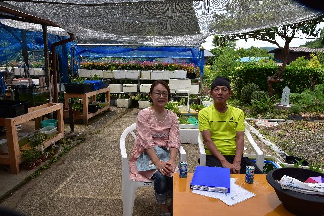 妻同伴のメダカ旅 その2 メダカの宿３様訪問記 岡崎葵メダカのつぶやき