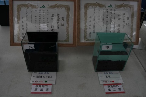 2-5