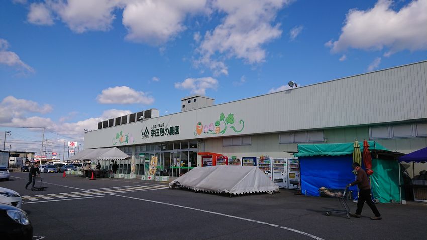 今日の幸田憩の農園 岡崎葵メダカのつぶやき