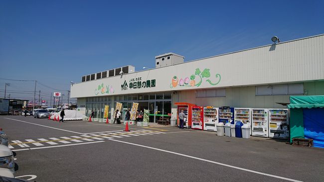 桜開花でメダカシーズン開幕 岡崎葵メダカのつぶやき 桜開花でメダカシーズン開幕 岡崎葵メダカのつぶやき